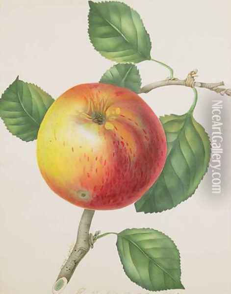 An Apple Oil Painting - Elizabeth Jane Hill