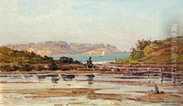 Napier From Park Island Oil Painting - George Carrington