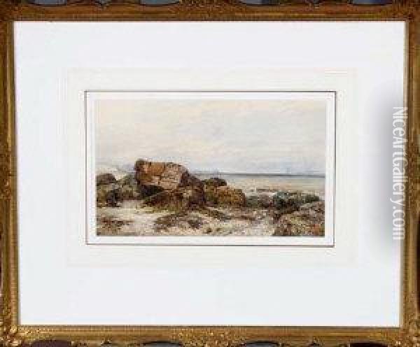 Rocks And Seaweed On A Beach Oil Painting - John Wilson Carmichael