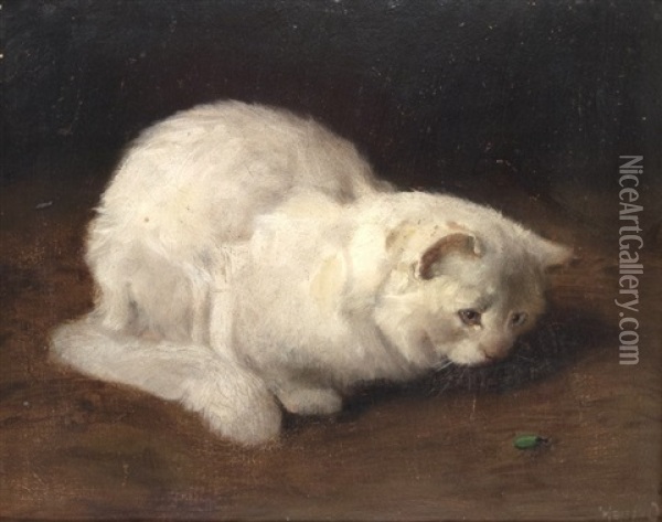 Persian Cat, Watching A Beetle Oil Painting - Arthur Heyer