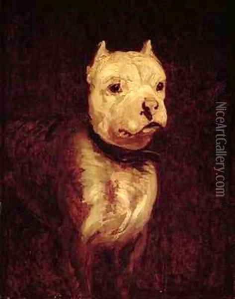 Portrait of a bulldog Oil Painting - Theodore Gericault