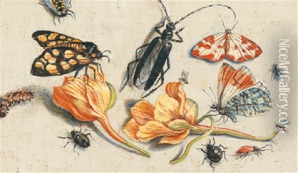 Stillleben Aus Blumen Und Insekten Oil Painting - Jan van Kessel the Elder