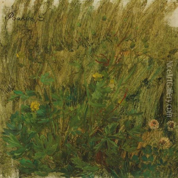 Meadow Study Oil Painting - Joakim Skovgaard