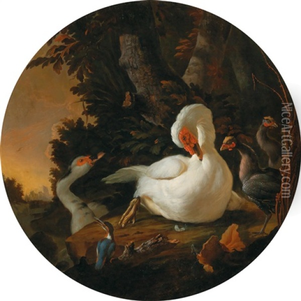 A Mute Swan Oil Painting - Abraham Bisschop