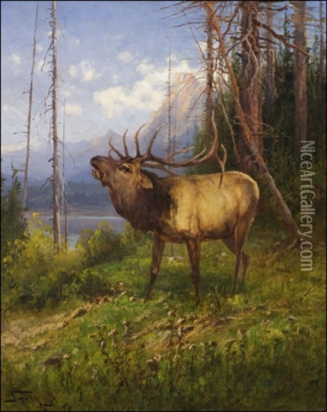 Bull Elk In The Rockies Oil Painting - John Fery