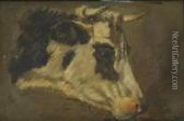 Cow's Head Oil Painting - Anton Mauve