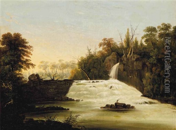View Of Passaic Falls, New Jersey Oil Painting - William Henry Bartlett