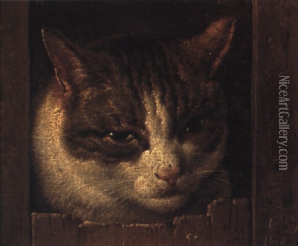 A Cat Peeping Through A Fence Oil Painting - Roelof Koets the Elder