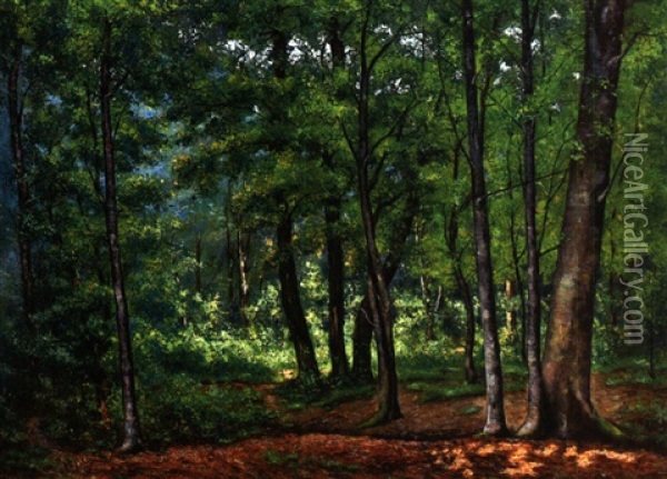 Waldlandschaft Mit Sonnigem Lichteinfall Oil Painting - Charles Vuagniaux