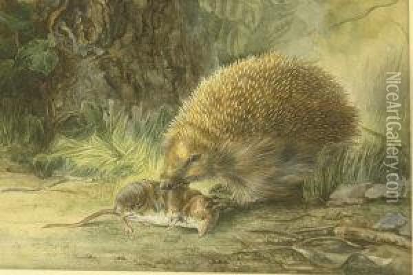 Hedgehog With Shrew Oil Painting - Harrison William Weir