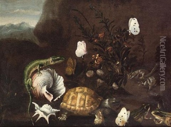 Frogs, A Tortoise And A Lizard On A Forest Floor With Shells And Butterflies Oil Painting - Paolo Porpora