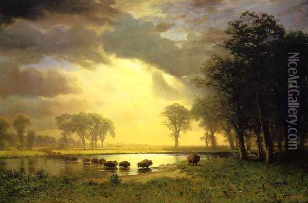 The Buffalo Trail Oil Painting - Albert Bierstadt