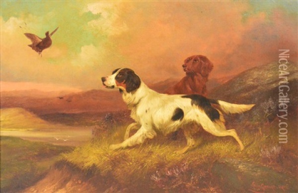 Pair Of Gun Dogs In A Landscape With Grouse In Flight In The Foreground Oil Painting - Colin Graeme