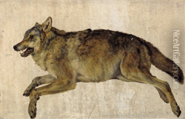 Erlegter Wolf Oil Painting - Friedrich Gauermann