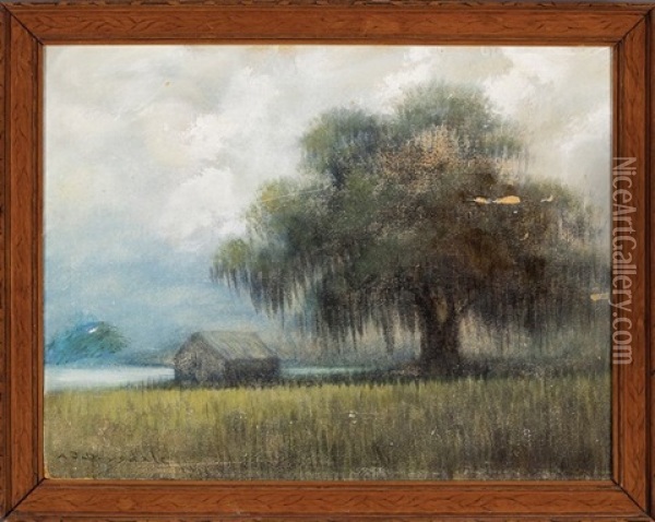Bayou Landscape With Live Oak And Cabin Oil Painting - Alexander John Drysdale