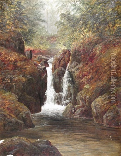 Lower Fall, Rydall Park, Ambleside, Westmorland Oil Painting - William Mellor