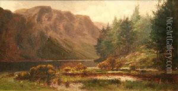 Lake At Killarney Oil Painting - Alexander Williams