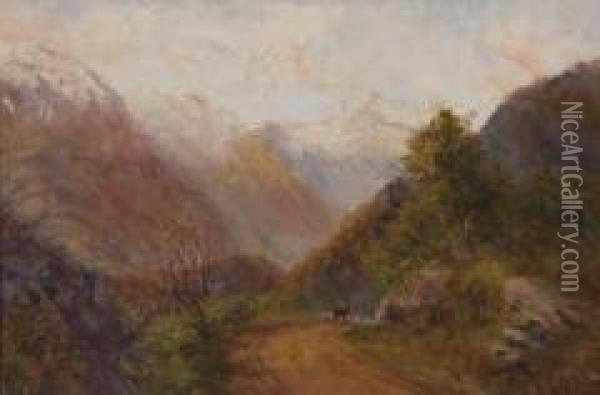 Otira Gorge Oil Painting - James Peele