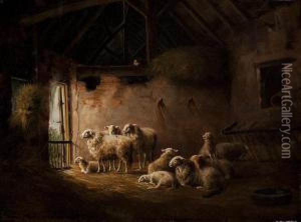 Sheep And Lambs In A Stable Withonlooking Cat Oil Painting - Franz van Severdonck