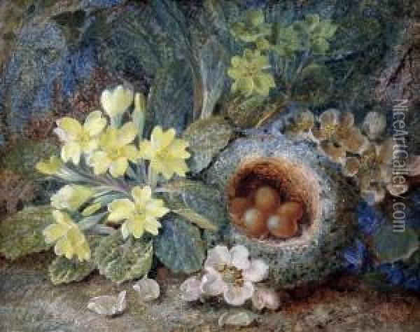 Still Life Of A Primrose, Birds Nest And Apple Blossom Oil Painting - Vincent Clare