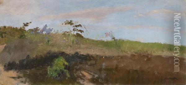 Moorgraben Mit Bluhenden Grasern Oil Painting - Otto Modersohn