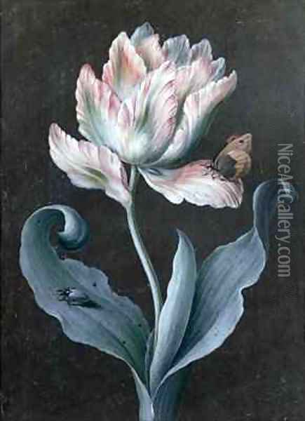 Parrot Tulip with Butterfly and Beetle Oil Painting - Barbara Regina Dietzsch