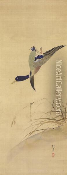 Goose And Reeds Oil Painting - Sakai Hoitsu