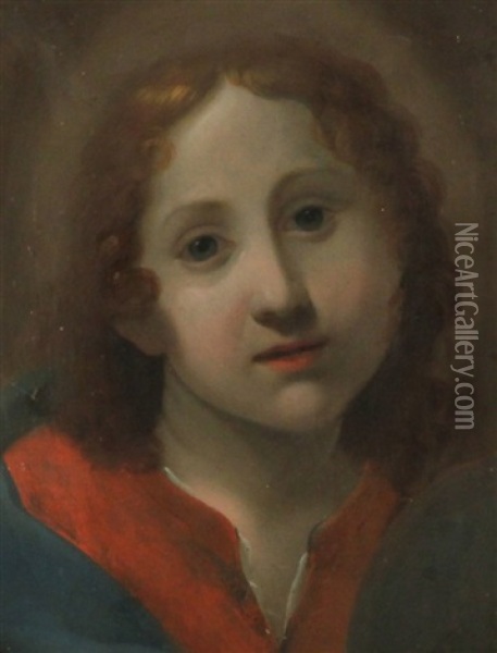 Young Christ Oil Painting - Carlo Dolci