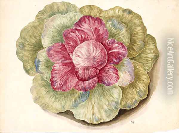 Brassica (Cabbage) Oil Painting - Italian School