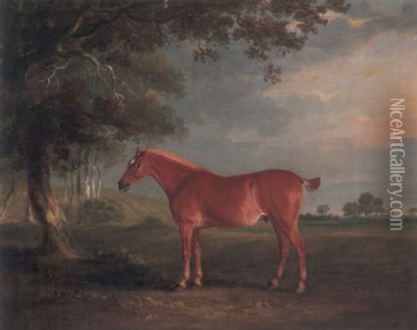 A Chestnut Cob In A Landscape, With Melton Mowbray Church Beyond Oil Painting - John E. Ferneley
