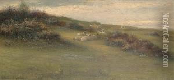 Sheep Resting On A Hillside; Hunting Scene Oil Painting - Valentine Thomas Garland