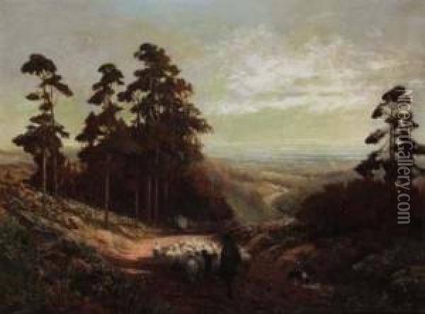 Near Leith Hill Surrey Oil Painting - Alexander Young