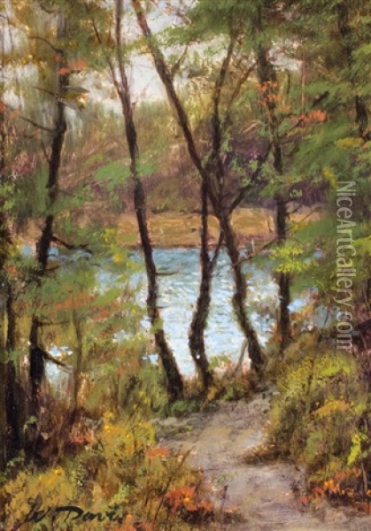 View Near Ship Harbor, Mt. Desert, Maine Oil Painting - William Davis