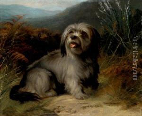 A Terrier In A Landscape Oil Painting - George Earl