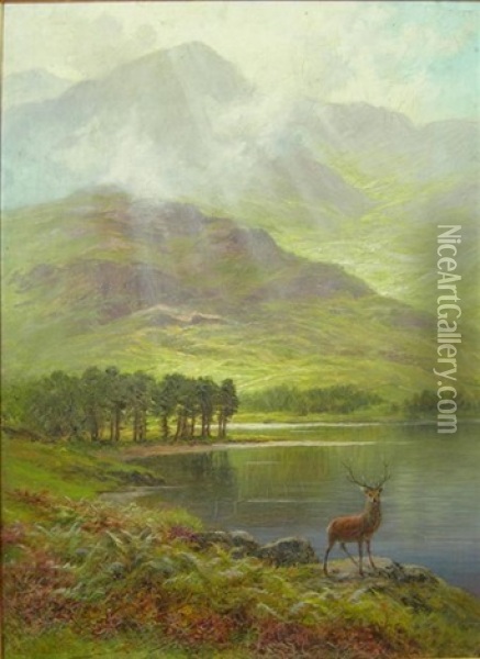 Stag By A Highland Loch Oil Painting - Charles Stuart