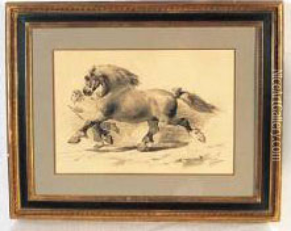 cheval De Trait A La Longe Oil Painting - Francois-Hippolyte Lalaisse