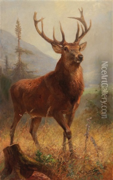 Trophy Stag In An Open Landscape Oil Painting - Anton Weinberger