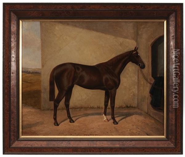 The Thoroughbred Racehorse 