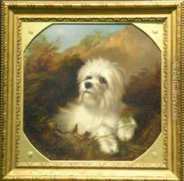 Terrier In A Landscape Oil Painting - Thomas William Earl