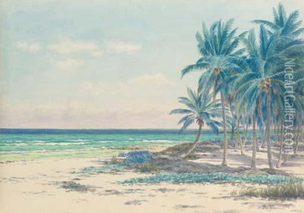 Bahama Islands Oil Painting - Armin Buchterkirch