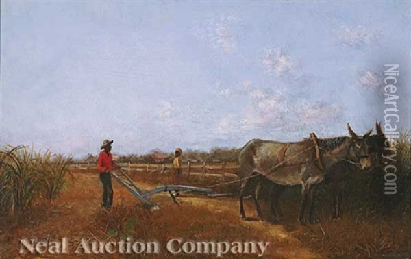 Sugar Cane Field Oil Painting - Charles Wellington Boyle