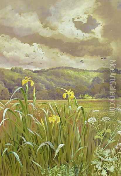 Irises and Cow Parsley Oil Painting - Charles Robertson