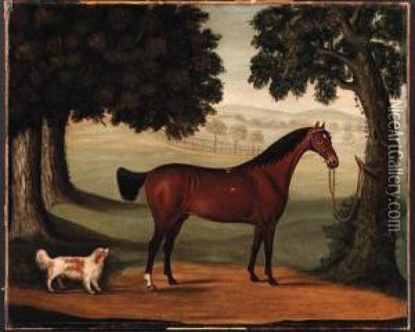 A Bay Horse And Spaniel In A Landscape Oil Painting - John Burell Read