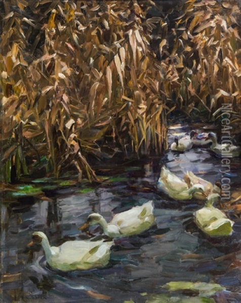 Acht Enten Im Herbstschilf Oil Painting - Alexander Max Koester