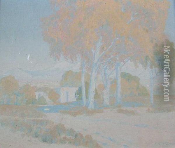 Landscape With Adobe Houses Oil Painting - Carl Redin