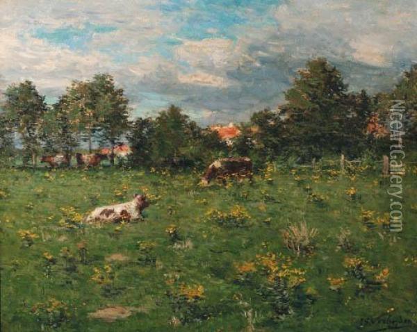 Cattle Resting In A Summer Meadow Oil Painting - Isidore Verheyden