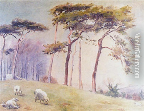 Sheep In A Landscape Oil Painting - Henry Inglis Jodriel Sheldon-Williams