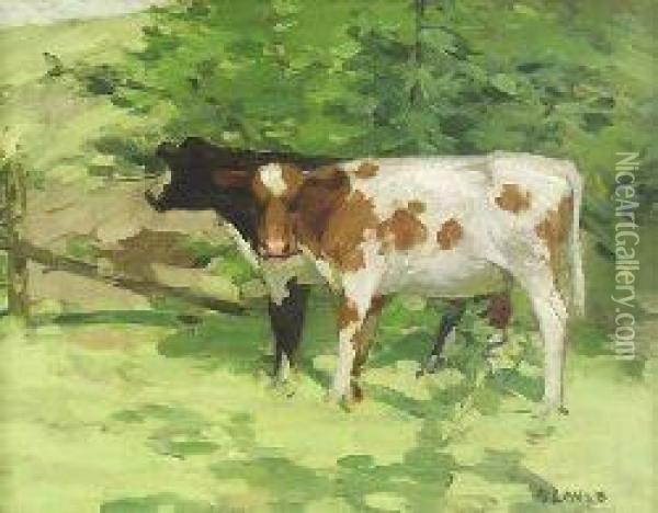 Cattle In The Shade Oil Painting - David Gauld