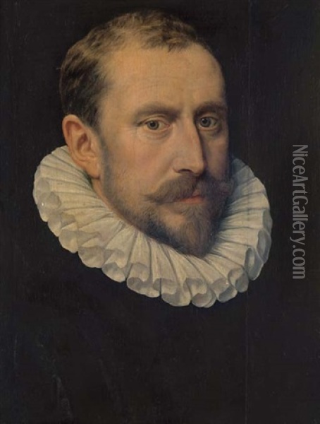 Portrait Of A Bearded Gentleman, Bust-length, With A Ruff Collar Oil Painting - Frans Pourbus the Elder
