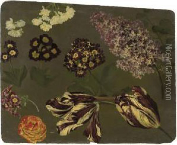Une Branche De Lilas Violet, Des
 Auriculae Mauves, Des Tulipes Panachees Violettes Et Blanches Et Un 
Camelia Oil Painting - Pancrace Bessa